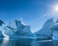 Антарктида теперь зеленая, — снимки, сделанные спутником