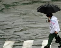 Укргидрометцентр предупреждает о дожде, местами порывы ветра достигнут штормовых значений