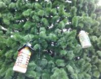 Сеть рассмешила елка боевиков, украшенная пустыми бутылками