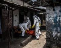 В ООН заявили о масштабной вспышке Эбола в Конго