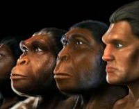 Ученые и искусственный интеллект открыли ранее неизвестного предка человека