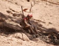 Количество погибших в результате прорыва плотины в Бразилии возросло до 110