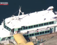 В Японии после столкновения судна с китом пострадали 80 человек