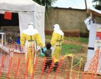 ЕС выделил еще 5 миллионов евро для борьбы с Еболой в Конго