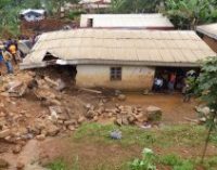В Камеруне погибли не менее 42 человек из-за оползня