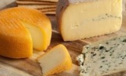 5 вредных свойств твердых сыров