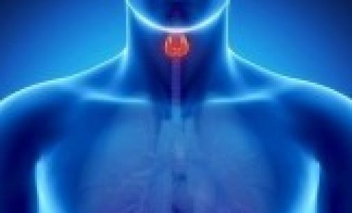 Эффективные упражнения для укрепления щитовидной железы