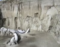 Археологи в Мексике нашли выкопанные 15 тыс. лет назад ямы для охоты на мамонтов