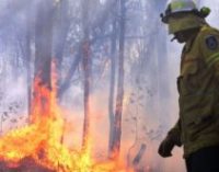 В Австралии пожар охватил около 1 тысячи километров материка