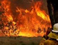 В Австралии второй день продолжаются масштабные пожары, трое человек погибли