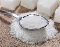 В Беларуси исчезли директора всех сахарных заводов — СМИ