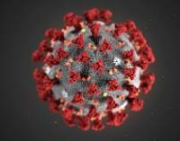Эпидемия коронавируса: Количество умерших в Китае увеличилось до 350 человек