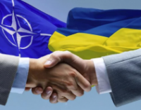 Правительство одобрило Годовую программу Украина — НАТО нового качества