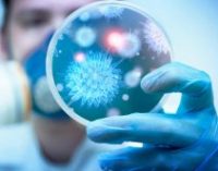 Вспышка коронавируса из Ухани скоро может быть объявлена пандемией, — ученые