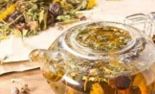 Лекарственные травы для лечения бронхита: 4 действенных рецепта