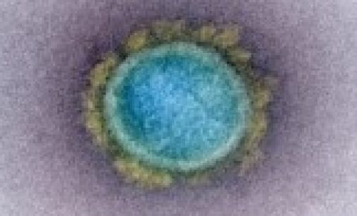 При какой температуре коронавирус особенно активен и опасен
