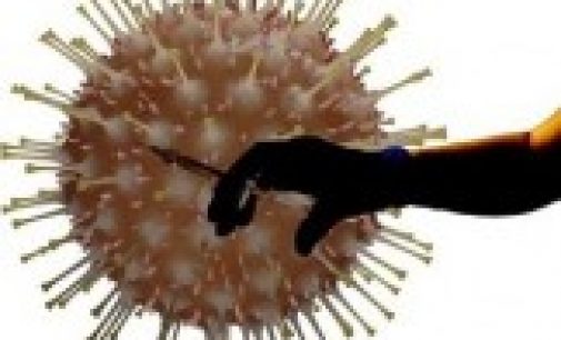 В ВОЗ сообщили, поможет ли старая прививка от гриппа против нового коронавируса
