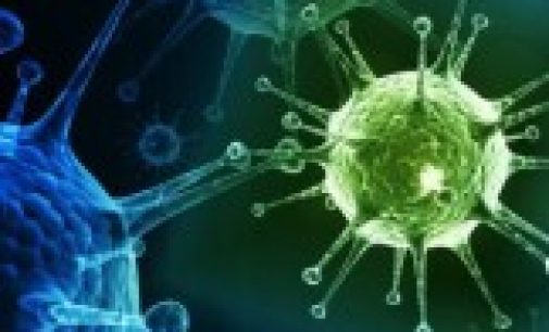 Ученые обнаружили антитела, которые эффективно борются с коронавирусом
