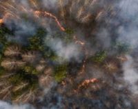 Спутники НАСА зафиксировали шлейфы от дыма лесных пожаров в районе ЧАЭС