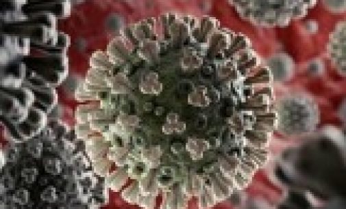 В мире ходит три разных типа коронавируса Covid-19 и они постоянно мутируют