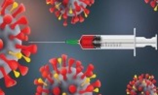 Ученые Израиля заявили об обнаружении антител, которые уничтожают коронавирус