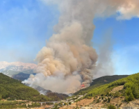 В Анталії через лісову пожежу евакуювали людей